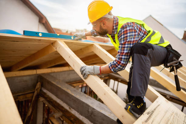 Best Roof Gutter Cleaning  in Cape May Court House, NJ